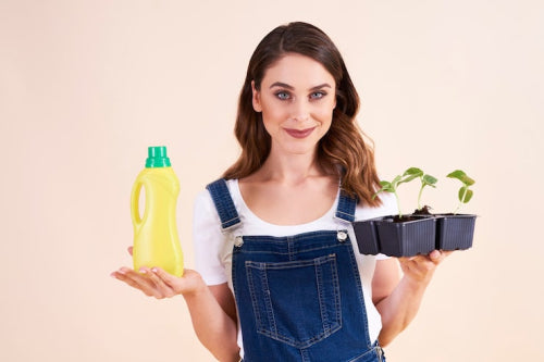 How to Choose Environmentally Friendly Household Products