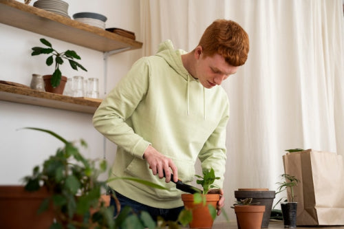 How Sustainable Habits Improve Everyday Living