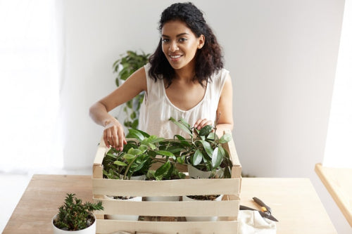 Why Sustainable Living Starts With Better Product Choices