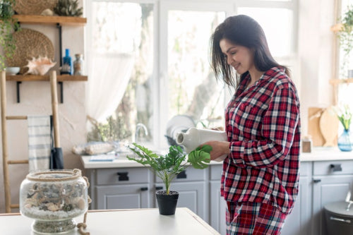 What Every Household Should Know About Eco-Friendly Living