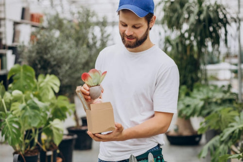 What Defines Quality in Eco-Friendly Consumer Products