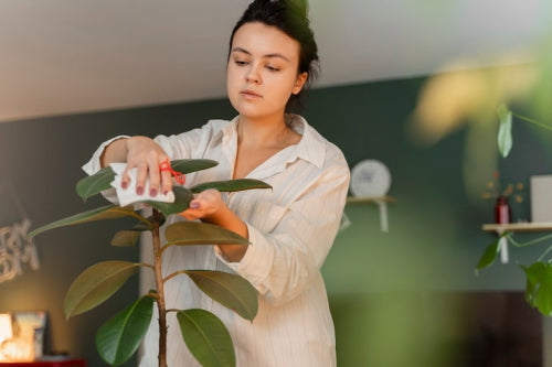 How Natural Cleaning Products Support Eco-Conscious Homes