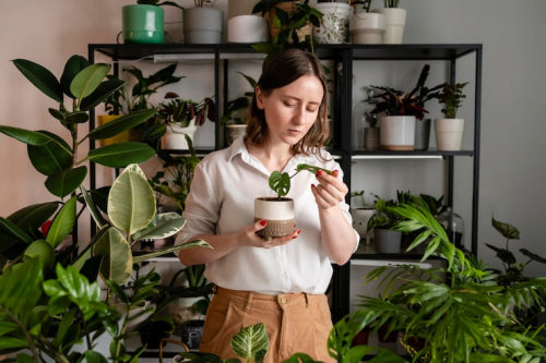 How to Choose Plantable Corporate Gifts for Sustainable Campaigns