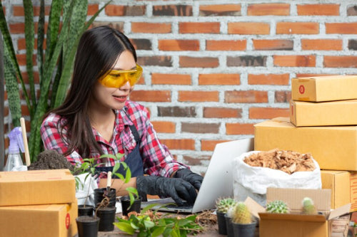 Singapores Sustainable Marketplace Expands Eco-Friendly Product Range
