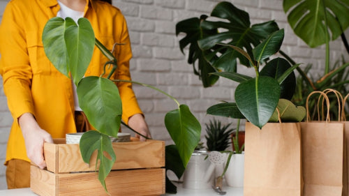 Eco-Friendly Packaging Gains Focus at Singapore Marketplace