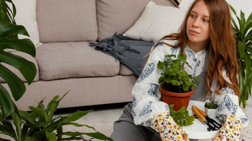 Eco-Friendly Home Decor Ideas for 2025