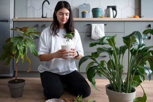 Sustainable Home Products for a Low-Carbon Life