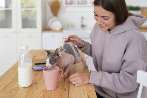 Ethical Pet Care Products Find Growing Demand