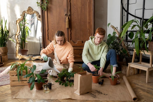 Sustainable Home Decor Appeals to Young Parents