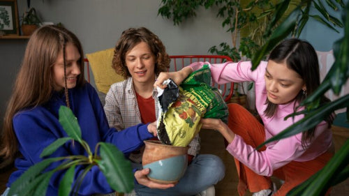 Workshops Teach Sustainable Living to Urban Dwellers