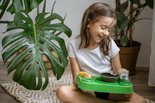 Eco-Friendly Toys Reduce Plastic in Family Playtime