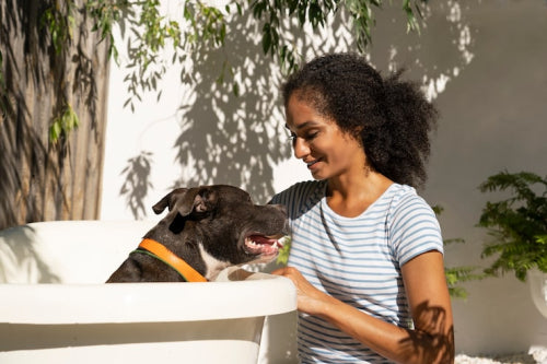 Sustainable Pet Care Rises Among Urban Owners
