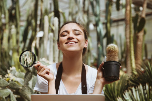Natural Beauty Market Grows With Focus on Transparency