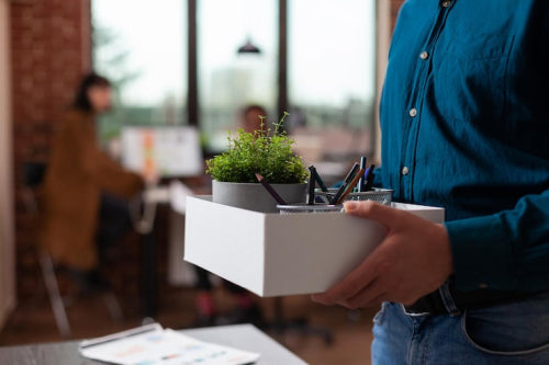 Corporate Eco-Gifting: A Growing Trend in Sustainable Business Practices