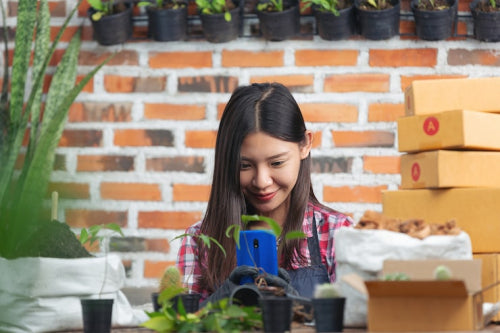 Sustainability and E-Commerce: How Online Retailers Are Adapting