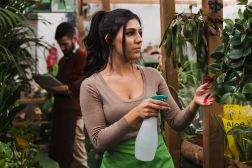 Building a Sustainable Future: The Role of Small Businesses in the Green Movement