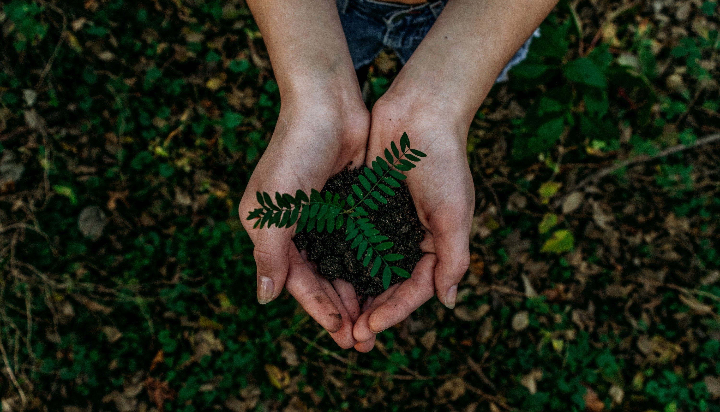 5 Ways to Make Every Day Earth Day 🌎 | The Green Collective SG