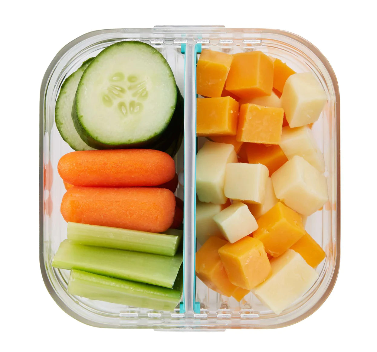 ERGO Bento Snack Container | Purchase at The Green Collective