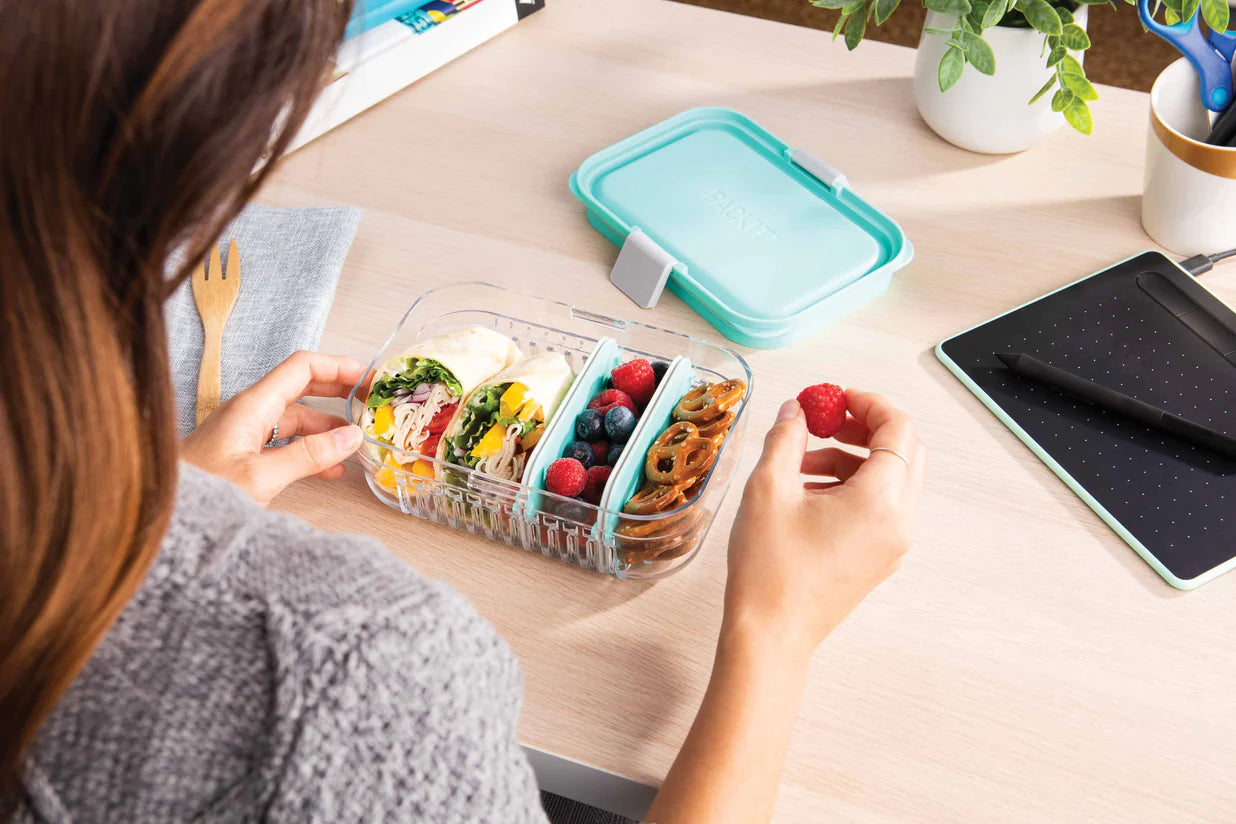Packit Bento Lunch Box by ERGO | Available at The Green Collective
