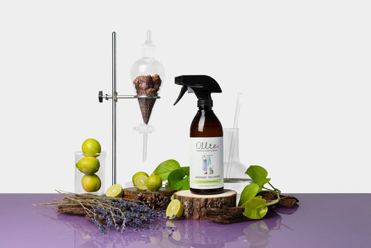 Ollie Wardrobe Freshener for odour free clothes