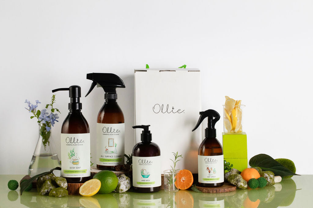 Ollie Home Care Box for your Everyday Needs