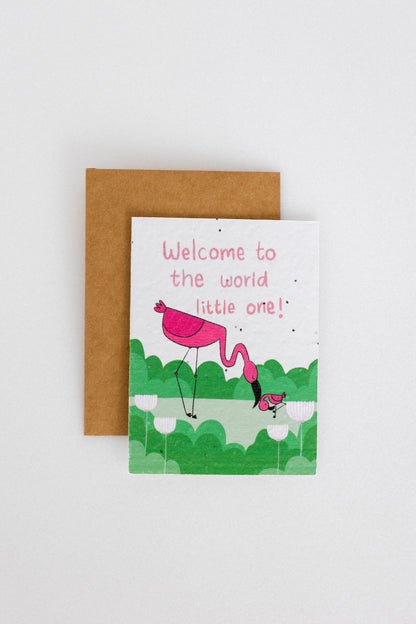 Eco-Friendly & Sustainable Plantable Greeting Cards for "CELEBRATIONS"