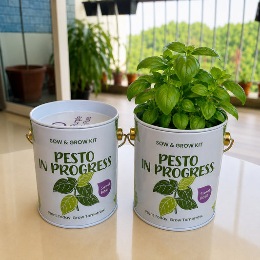 Purple & Pure Sow & Grow Starter Kit (Mini) - Grow your own herbs at home