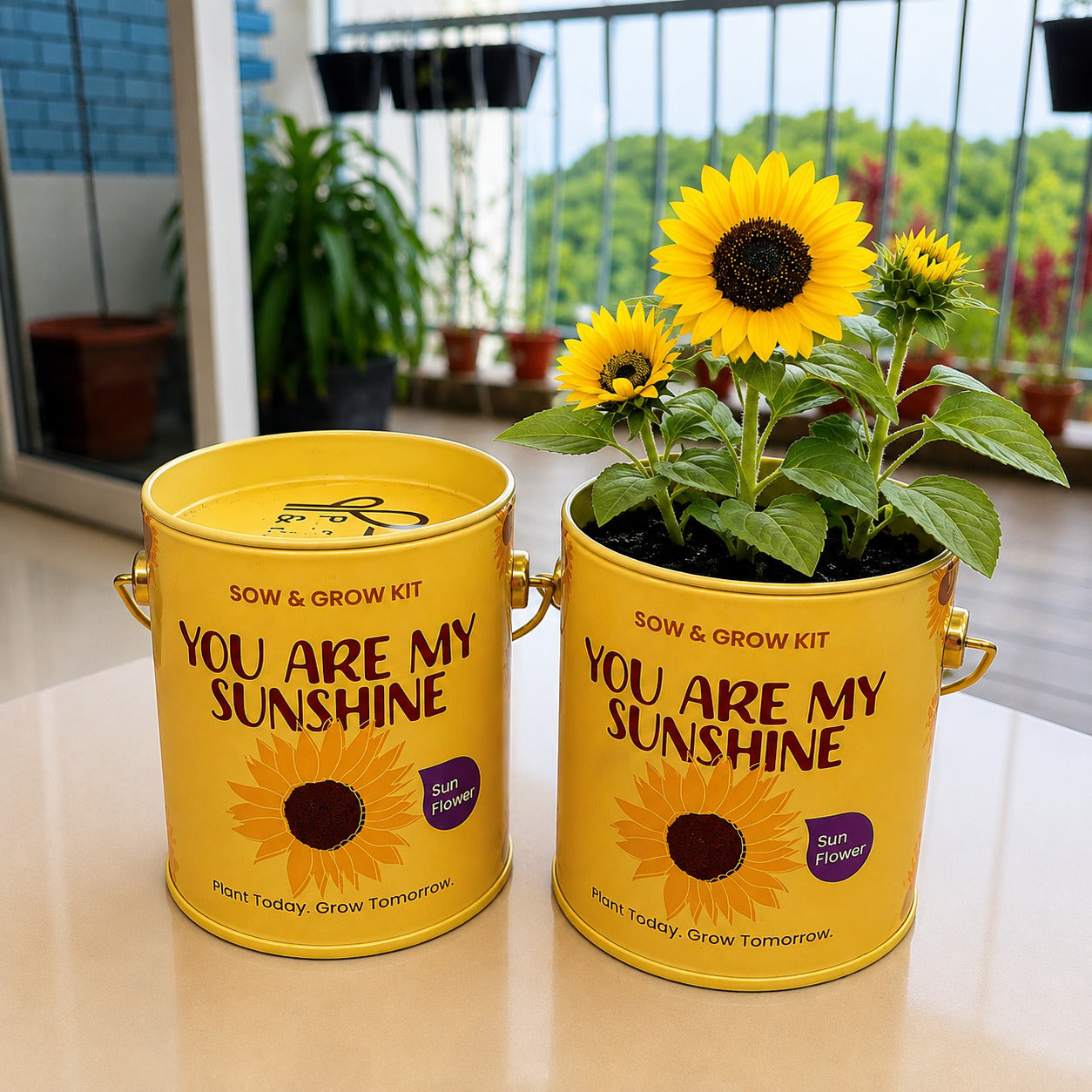 Purple & Pure Sow & Grow Starter Kit (Mini) - Grow your own herbs at home