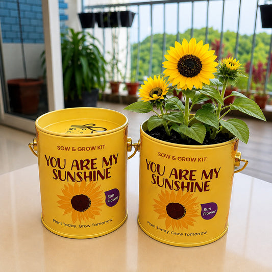 Purple & Pure Sow & Grow Starter Kit (Mini) - Grow your own herbs at home