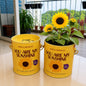 Purple & Pure Sow & Grow Starter Kit (Mini) - Grow your own herbs at home