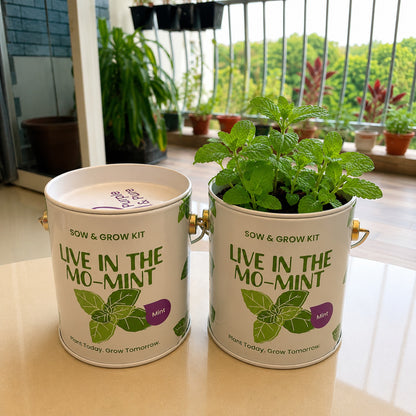Purple & Pure Sow & Grow Starter Kit (Mini) - Grow your own herbs at home