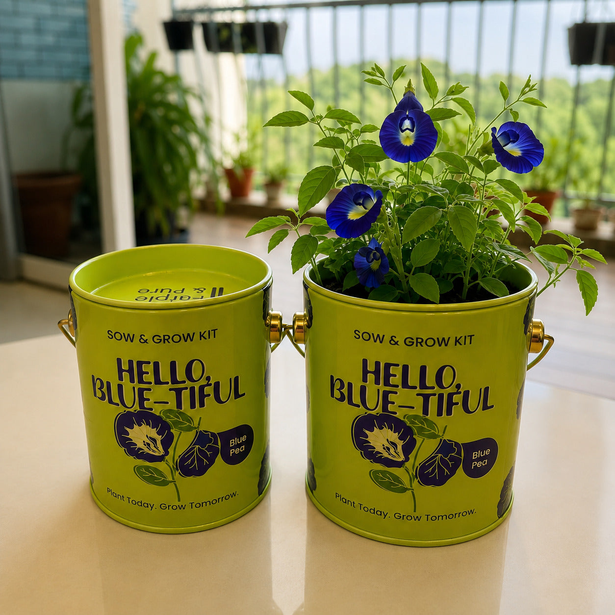 Purple & Pure Sow & Grow Starter Kit (Mini) - Grow your own herbs at home