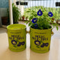 Purple & Pure Sow & Grow Starter Kit (Mini) - Grow your own herbs at home