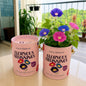 Purple & Pure Sow & Grow Starter Kit (Mini) - Grow your own herbs at home