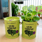 Purple & Pure Sow & Grow Starter Kit (Mini) - Grow your own herbs at home