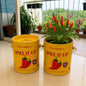 Purple & Pure Sow & Grow Starter Kit (Mini) - Grow your own herbs at home