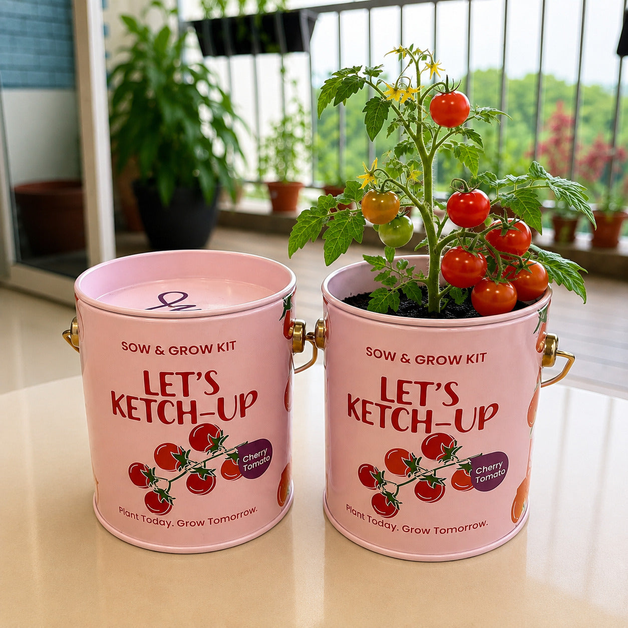 Purple & Pure Sow & Grow Starter Kit (Mini) - Grow your own herbs at home
