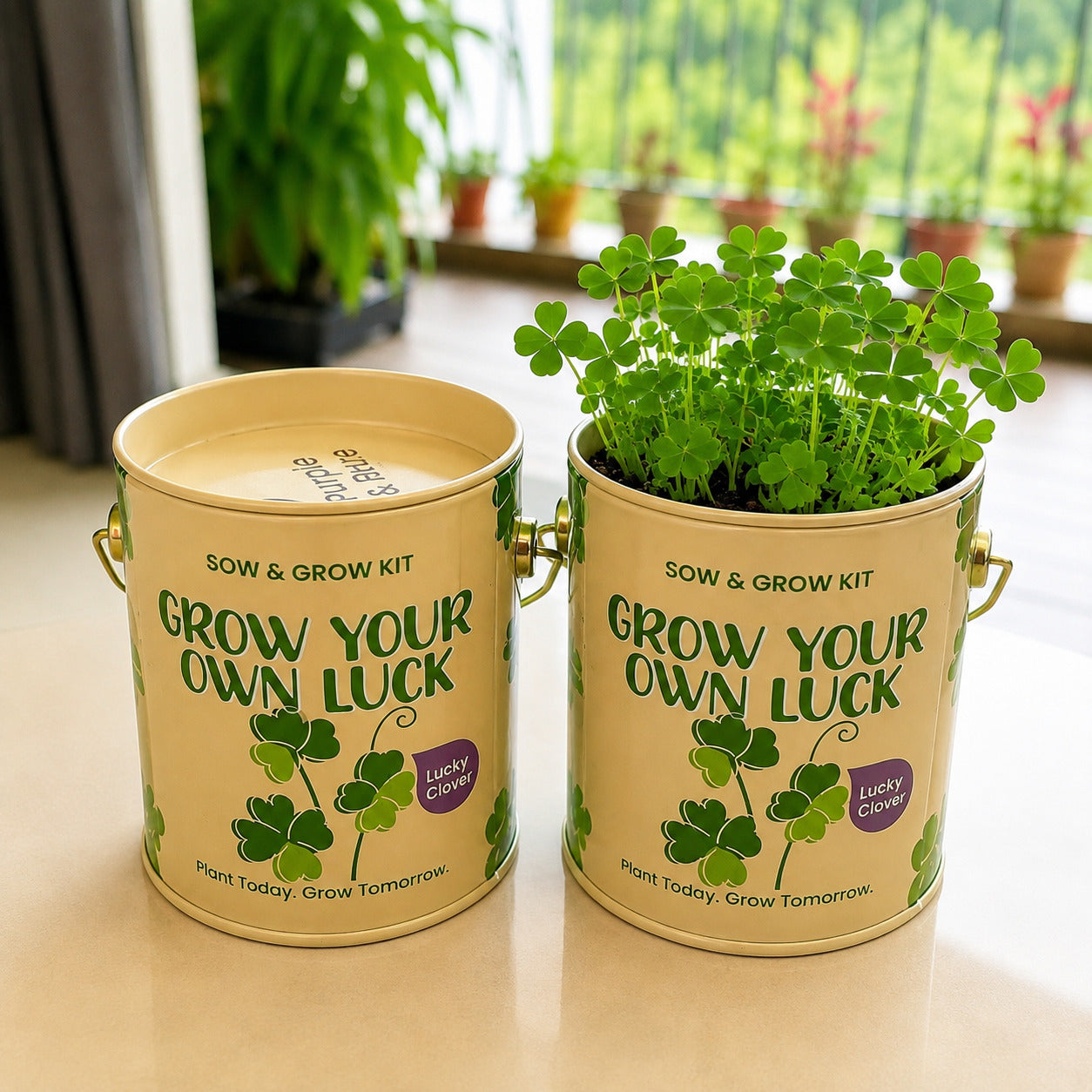 Purple & Pure Sow & Grow Starter Kit (Mini) - Grow your own herbs at home