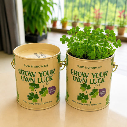 Purple & Pure Sow & Grow Starter Kit (Mini) - Grow your own herbs at home
