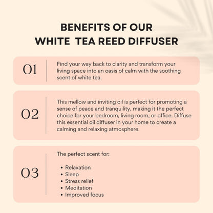 Balance/White Tea Reed Diffuser by Innerfyre 50ml