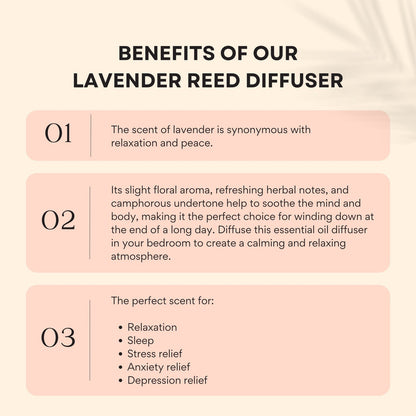 Sleep - Lavender Reed Diffuser by Innerfyre 50ml