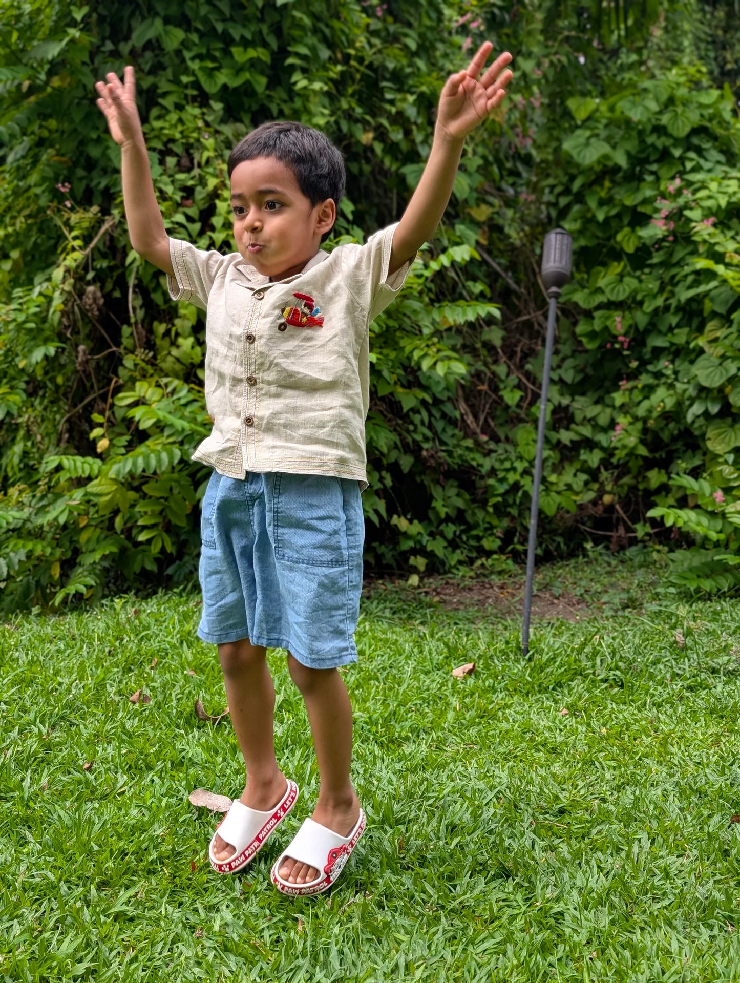 The Purestitch Airplane Frenzy Shirt