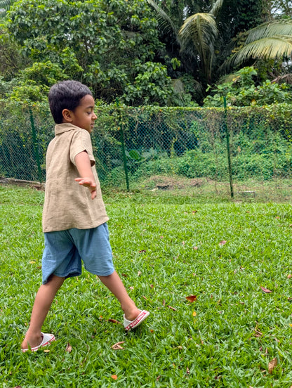 The Purestitch Brown Dinosaur Shirt