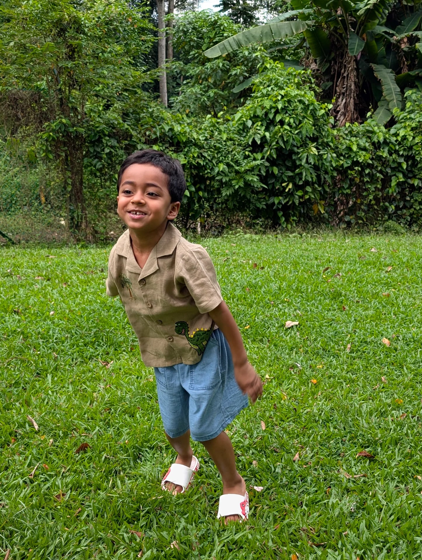 The Purestitch Brown Dinosaur Shirt