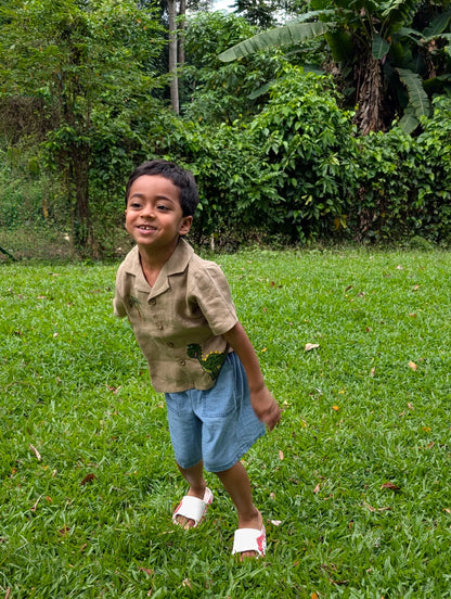 The Purestitch Brown Dinosaur Shirt