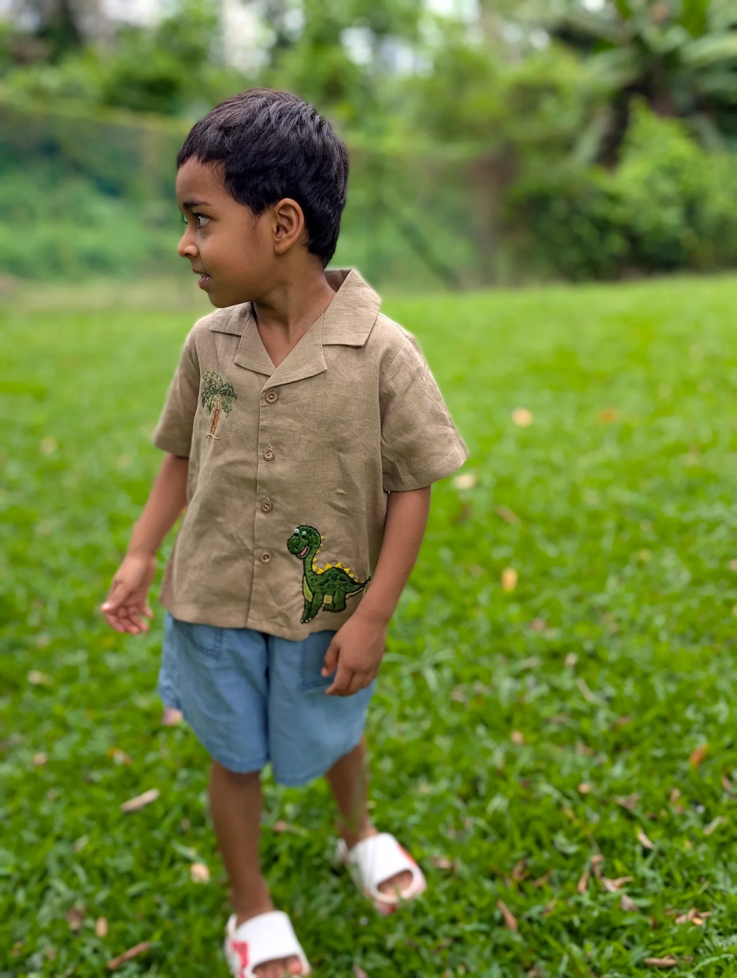 The Purestitch Brown Dinosaur Shirt
