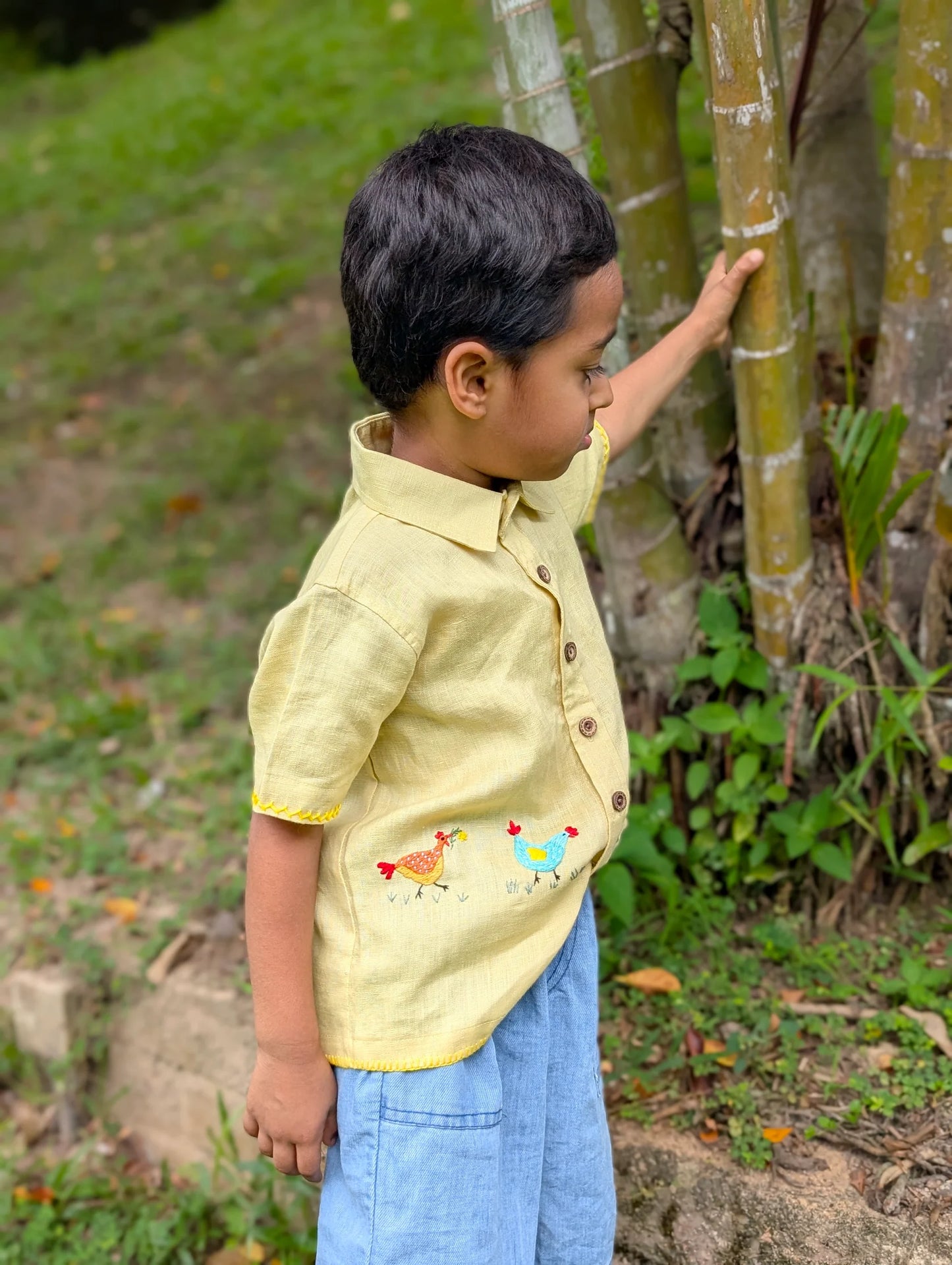 The Purestitch Crazy Chicken Shirt for Boys