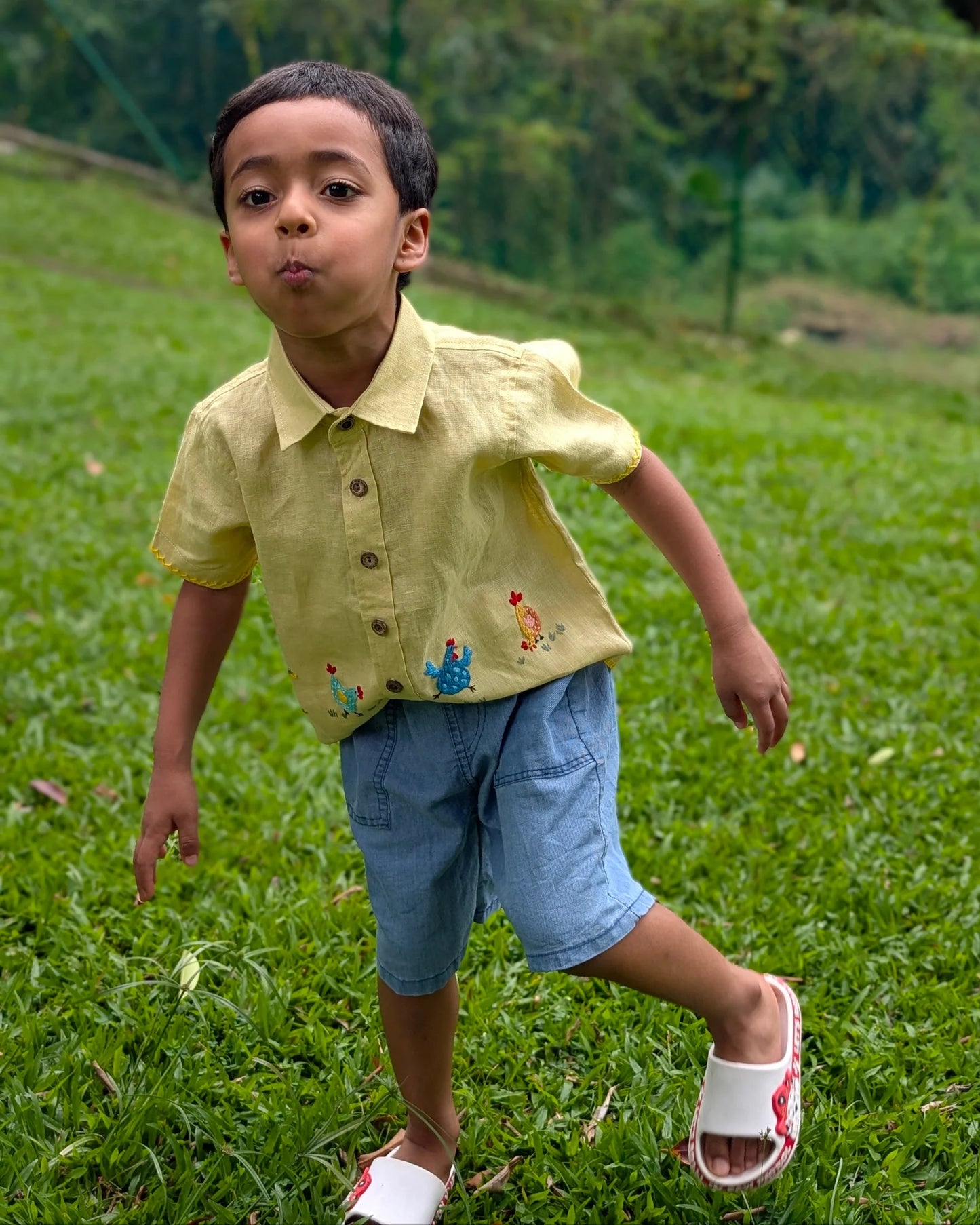 The Purestitch Crazy Chicken Shirt for Boys