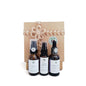 Coco Veda Hair Wellness Mini Kit