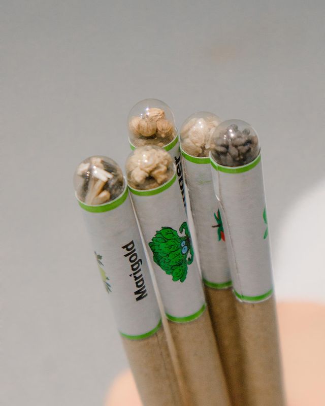 Recycled Paper Plantable Seed Pen